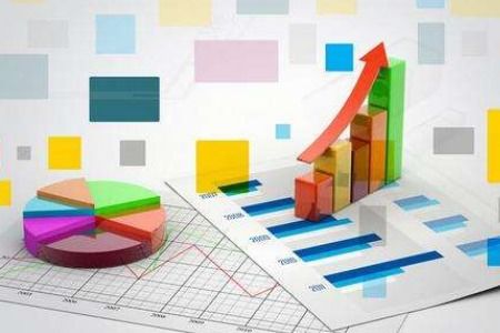 经济统计学与社会经济咨询 数据驱动决策的专业桥梁
